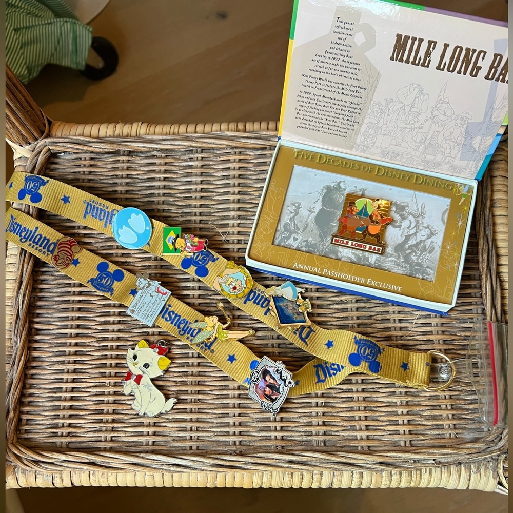 Disney pin collection, 50th anniversary lanyard, pass holder’s pin & keychain